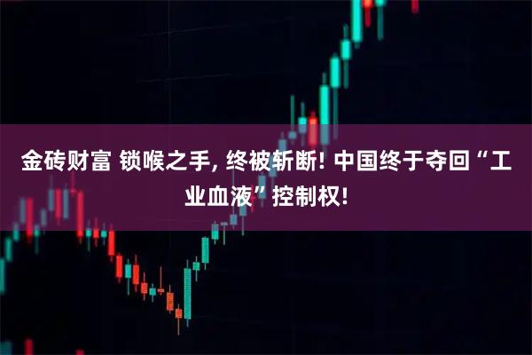金砖财富 锁喉之手, 终被斩断! 中国终于夺回“工业血液”控制权!